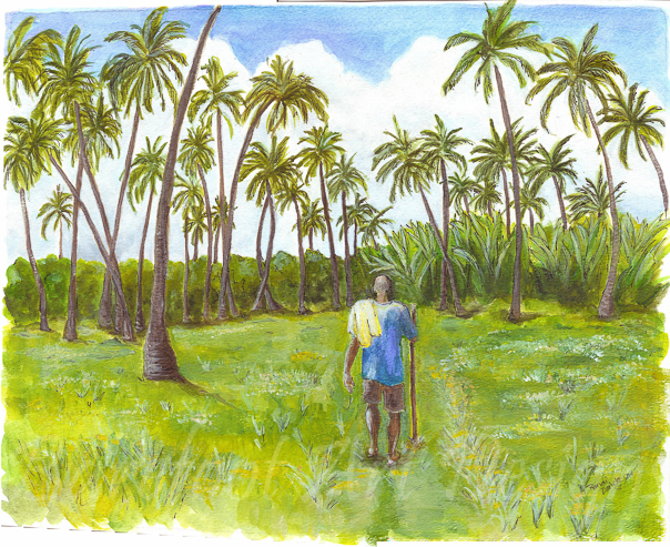 A Walk in St. Lucia