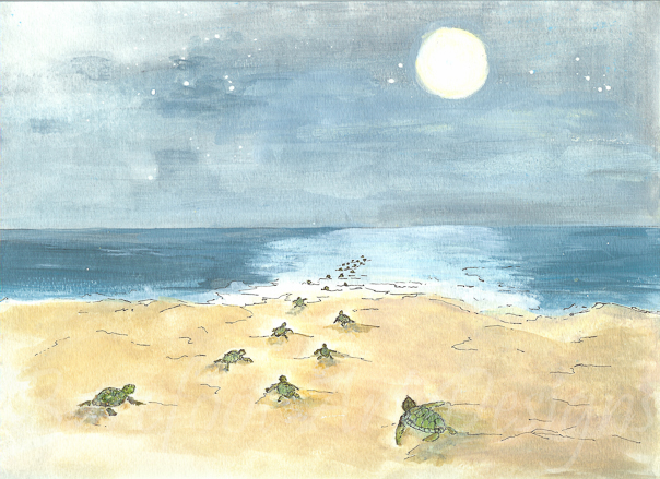 Salty - Moonlit Path